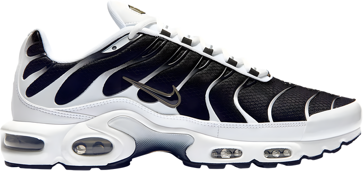 Nike Air Max Plus TN Killer Whale